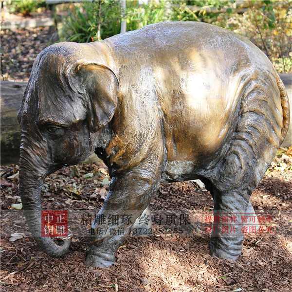 风水摆件铜大象.jpg 风水摆件铜大象.jpg