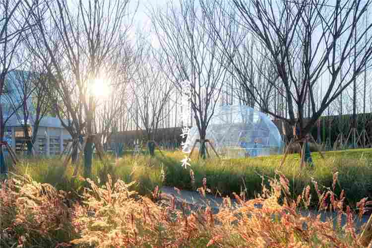 1609739318146574.jpg 云南昆明万科公园城市大门及灯塔(图7)